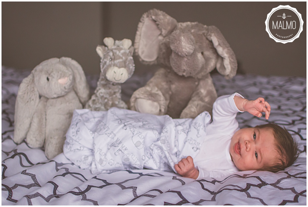 Baby and Stuffed Animals Newborn Photography