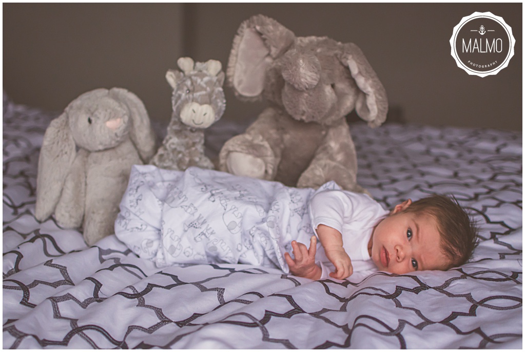Newborn Photography with Stuffed Animals