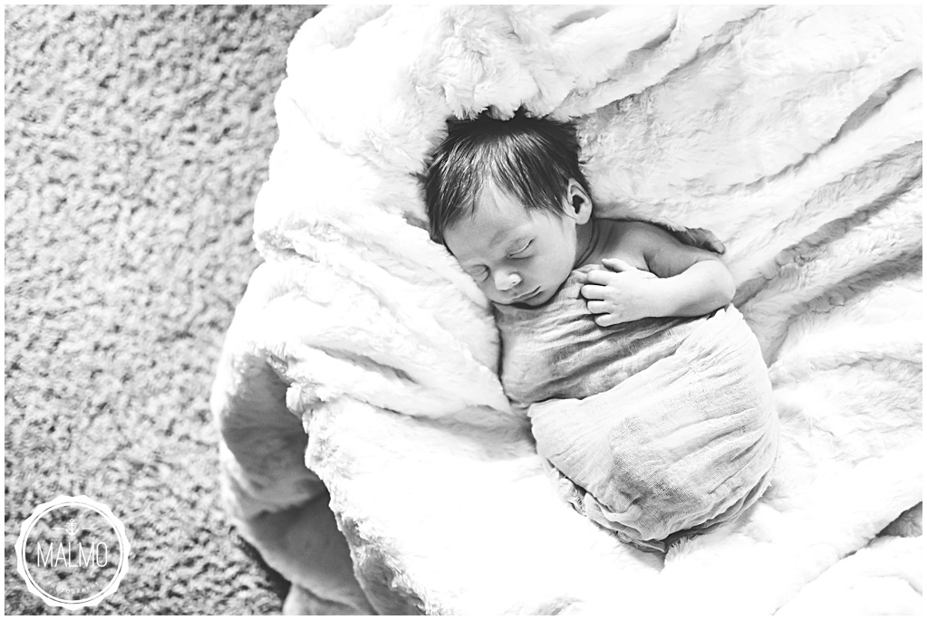Newborn Photography Carmel