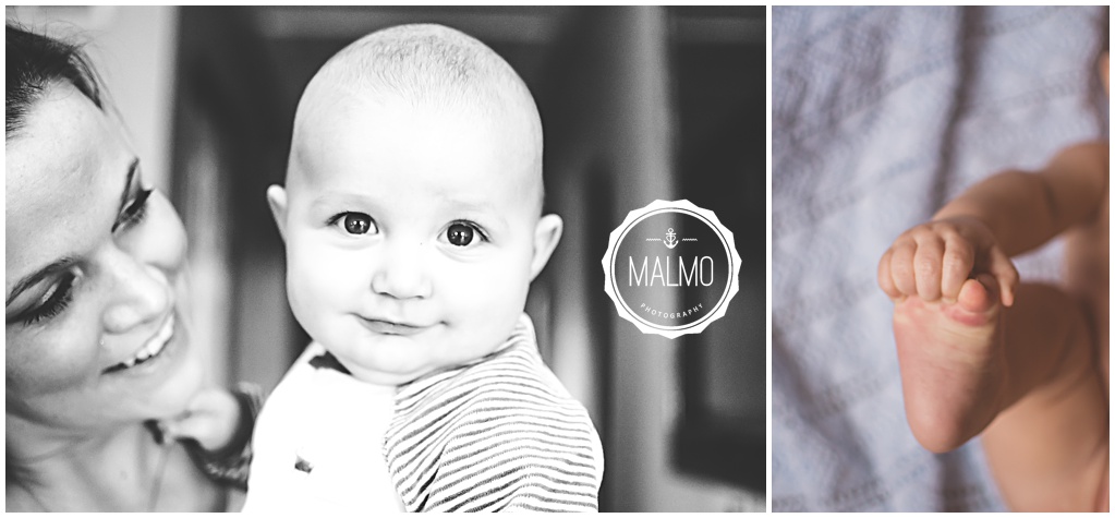 Baby boy 6 month portraits