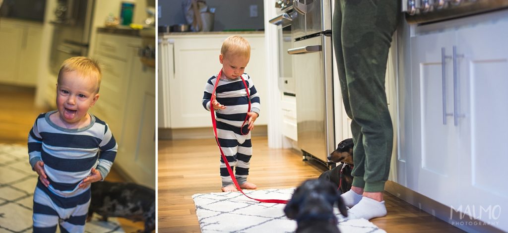 Lifestyle-Photography-Family-California-Toddler-Dogs