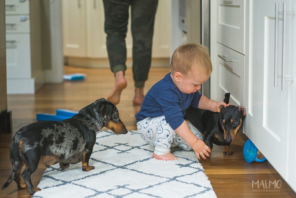 Lifestyle-Photography-Family-California-Toddler-Dogs